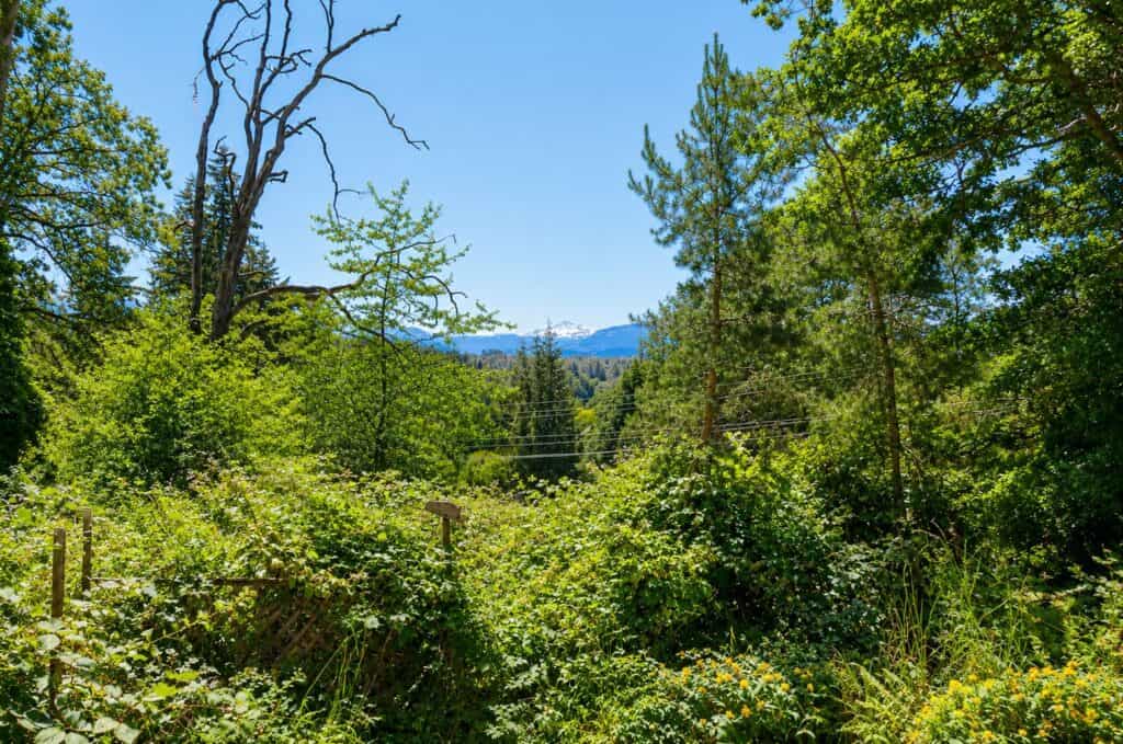0.42 Acres Inside City Limits. SSMUH Zoning. Mountain Views
