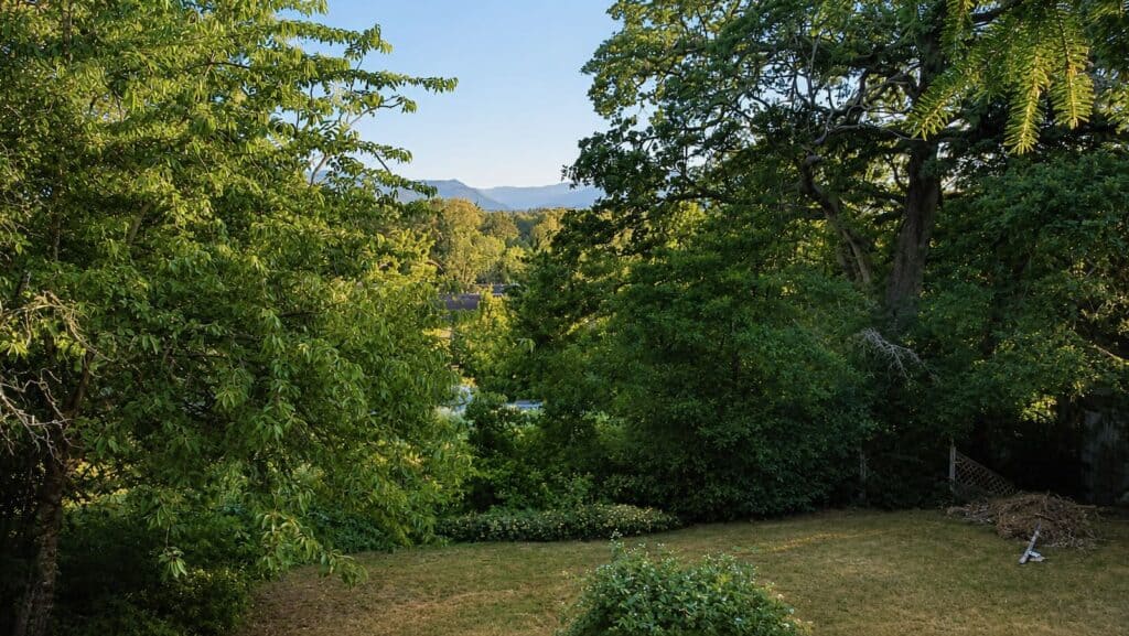 0.42 Acres Inside City Limits. SSMUH Zoning. Mountain Views