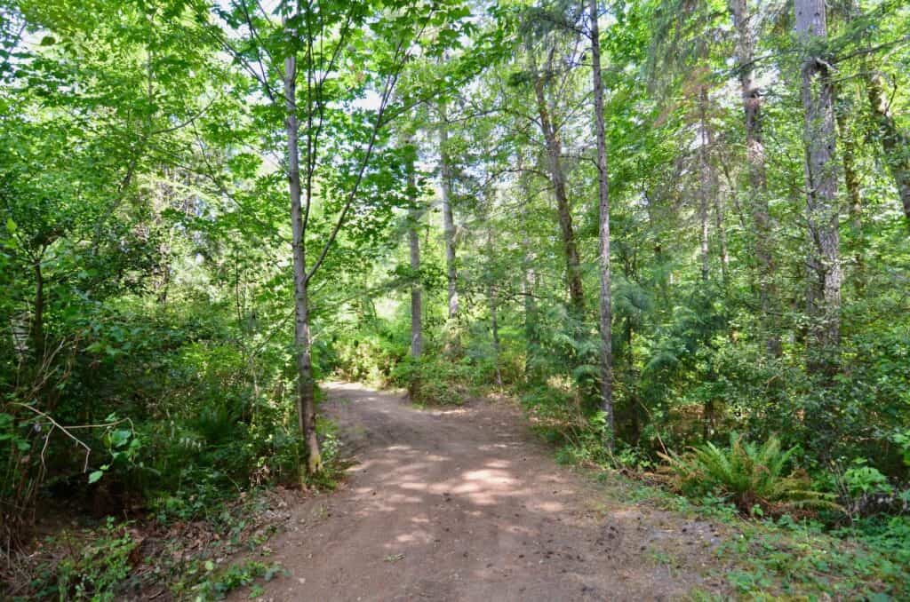 Forested Privacy Close to Town