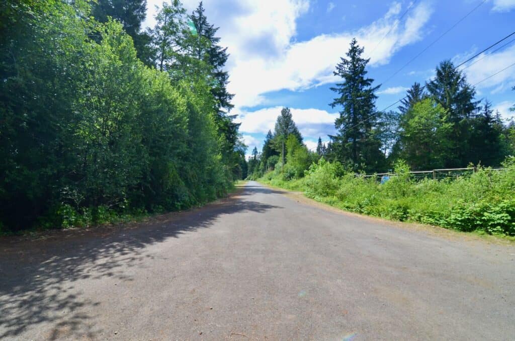 Forested Privacy Close to Town