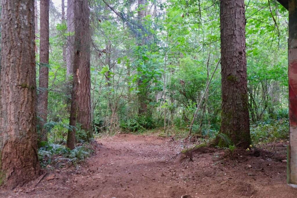 Forested Privacy Close to Town