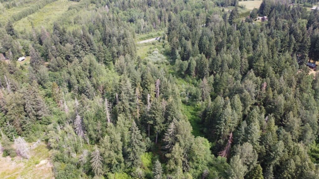 Forested Privacy Close to Town