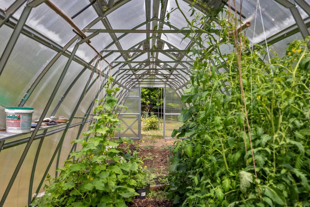 Denman Island Sanctuary on Five Private Acres