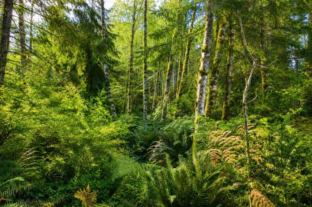 10 Acre Building Lot Near Quathiaski Cove