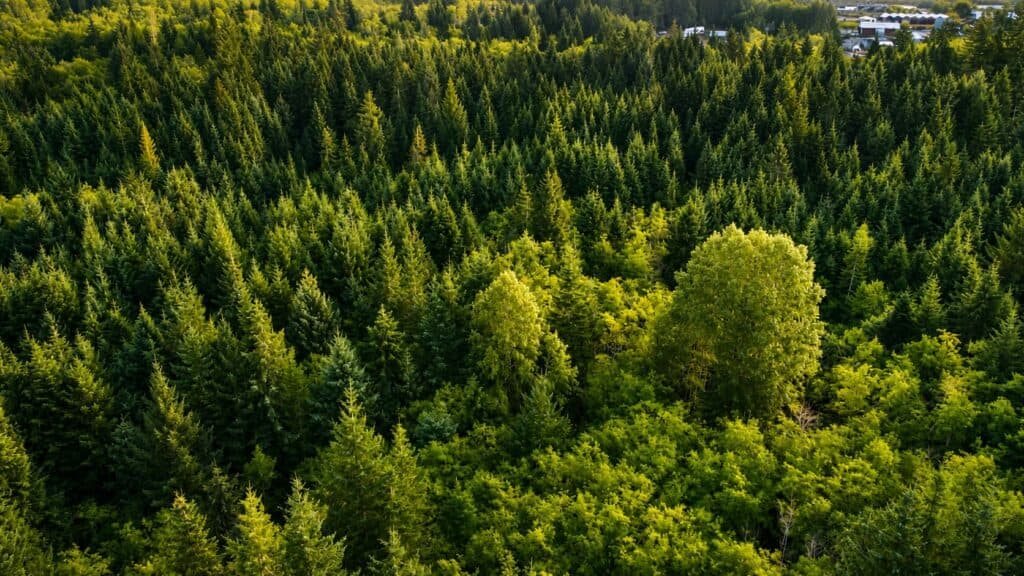10 Acre Building Lot Near Quathiaski Cove