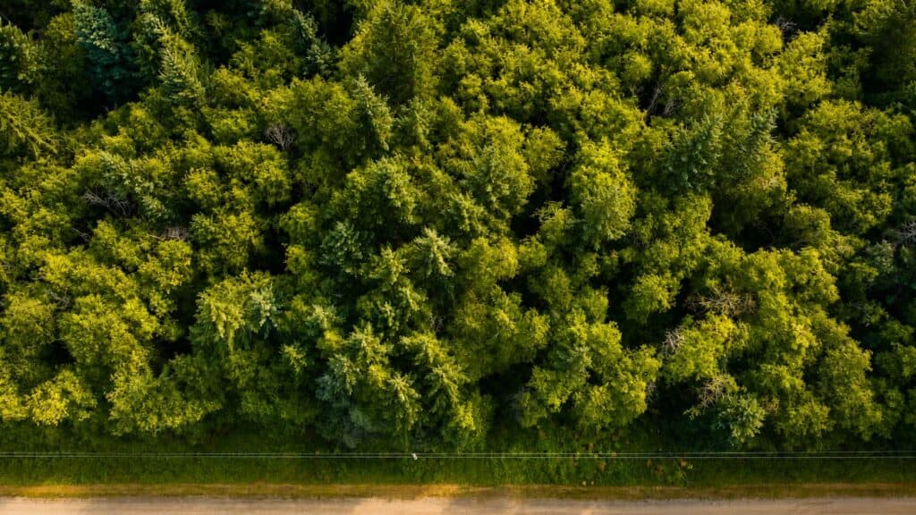 10 Acre Building Lot Near Quathiaski Cove