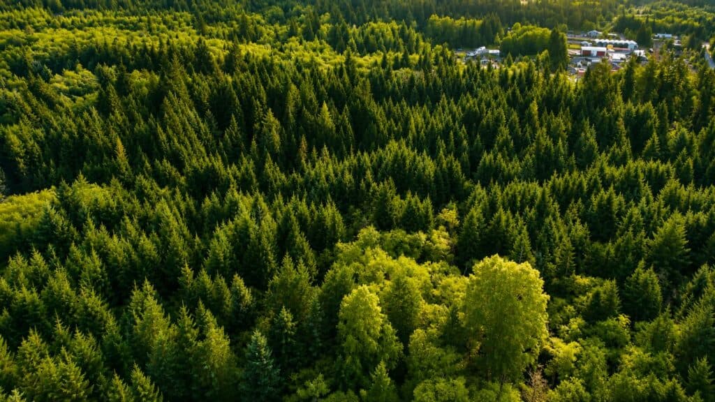 10 Acre Building Lot Near Quathiaski Cove